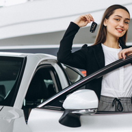 Alex Fahr- und Führerschein Firma